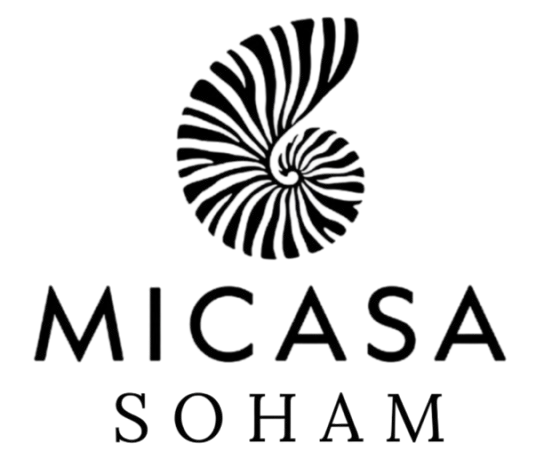 MICASA Realty